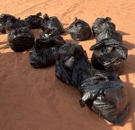 Desert Clean-Up Chronicles: Day 1